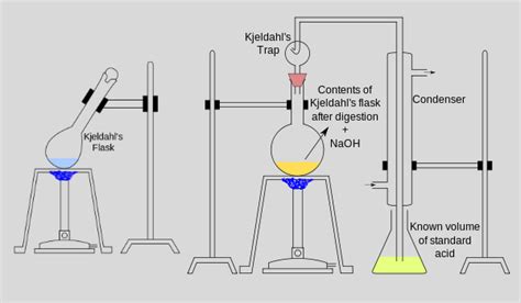 Kjeldahl Method for Nitrogen Determination .